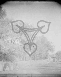 Vlădila, 1908, Iunie 21