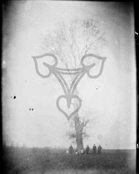 Dioști, 1911, Apr. 10, D. (Paștile)