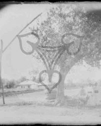 Vlădila, 1908, Iunie 21.