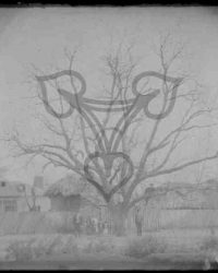 Dioști, 1910, Aprilie 11. (Floriile)