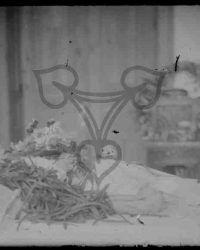 Caracal, 1915, Martie