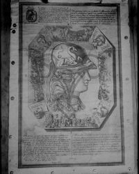 Abbildung eines Aushangs von 1809