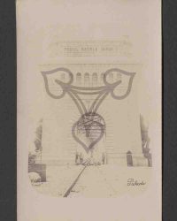 Podul Regele Carol I