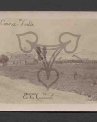 Podul Regele Carol I