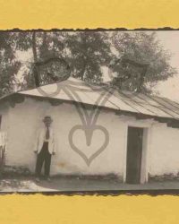 Prof. Ilie Constantinescu