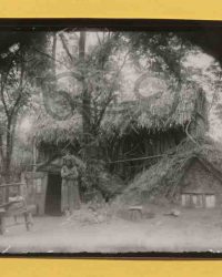 Borodei (Ortsteil von Craiova)(?)