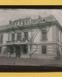 Caracal, 1904, Julie