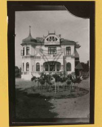 Caracal, 1904, Julie