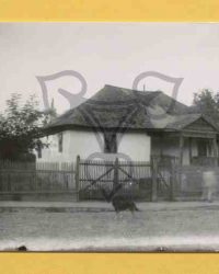 Caracal, 1908, Aug. 9
