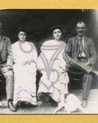 Ferma Studina, 1908, Iunie 22