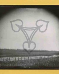 Dioști, 1909, Apr. 5. Dumineca Tomii