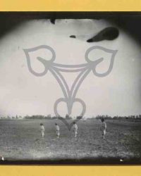 Dioști, 1909, Aug. 15