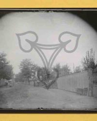 Dioști, 1909, Aug. 17, Luni