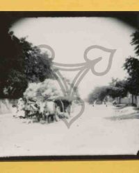 Vlădila, 1908, Iunie 21