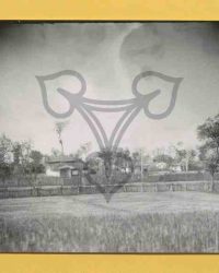 Caracal, 1910, Aprilie 29 Joi