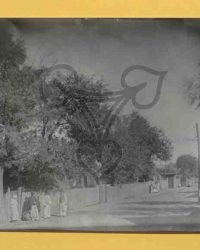 Vlădila, 1908, Iunie 21