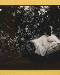 Dioști, 1909, Sept. 6,D.