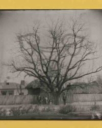 Dioști, 1910, Aprilie 11. (Floriile)