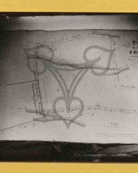 Redea, 1909, Aug. 25.