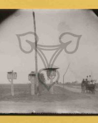 Grozăvești (Drăghiceni) 1909, Aug. 16, D.