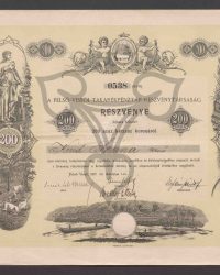 Aktie über volleingezahlte zweihundert Kronen. No. 0538