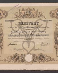 Aktie zu Einhundert Österreichische Forint. 0.591 Anteile, Nr. 296