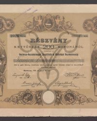 Aktie zu Zweihundert 200 Kronen. 1026 Anteile, Nr. 13
