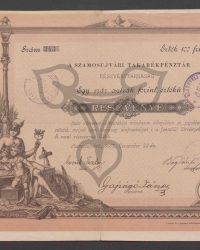 Aktie. Einhundert Forint pro Stück. Nummer 243; Wert 100 Forint o.e.