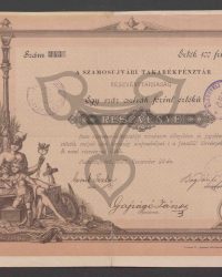 Aktie. Einhundert Forint pro Stück. Nummer 243; Wert 100 Forint o.e.