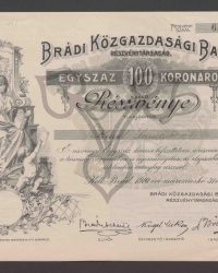 Aktie. Einhundert Kronen. Aktiennummer 631