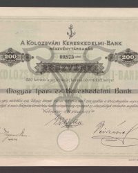 Aktie. Zweihundert Kronen, d. h. mit einem Nennwert von zweihundert Kronen. Nummer 00.875