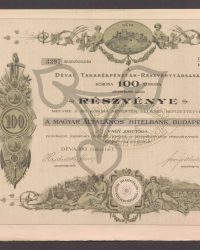 Aktie. Krone 100 Krone. 3397 Aktiennummer; IV./100 Blattnummer