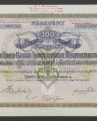 Aktie. Einhundert Kronen. Nummer 0544