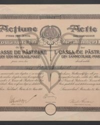 Aktie über volleingezahlte Zweihundert Lei. 5571