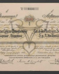 Aktie von Einhundert Lei vollständig bezahlt