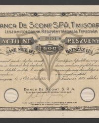 Aktie. Sechshundert Lei. No. 30351