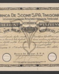 Aktie. Sechshundert Lei. No. 30351