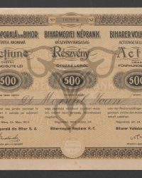 Aktie über Fünfhundert Lei. No. 10282