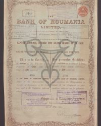 Share Warrant to Bearer. Capital Pound 300.00, Dividet Into 50.000 Shares of Pound 6 Each. One fully paid Share of Pounds 6. Warrant No. 8449, Nr. 1799