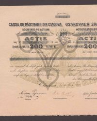 Aktie über Zweihundert leib. Nr. 04341