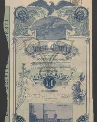 Aktie zum Nennwert von fünfhundert Lei. Ausgabe VI. Nr. 2849