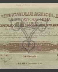 Titel von 5 vollständig ausgegebenen Inhaberaktien. Nennwert von 2500 Lei, Ausgabe III a. Nr. 5886 bis Nr. 5890