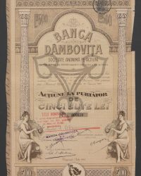 Aktie zum Nennwert von fünfhundert Lei. No. 000030