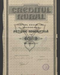 Nominalaktie. 500 Lei. No. 007538