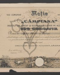 Aktie. Einhundert Kronen. Nr. 300