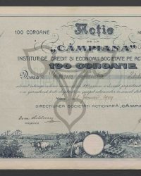 Aktie. Einhundert Kronen. Nr. 0746