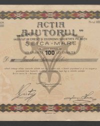 Aktie. Einhundert Lei, Ausgabe III. No. 1027
