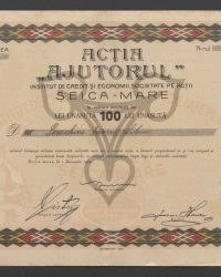 Aktie. Einhundert Lei, Ausgabe III. No. 1027