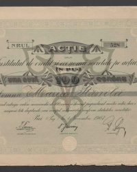 Aktie. Einhundert Kronen. Nr. 528