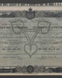 Dix Actions au Porteur de Cinq Mille Lei. Cinquieme Emission. No 054091 - 054100